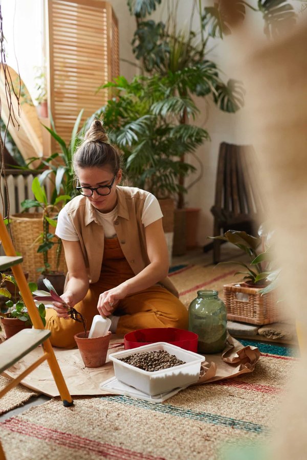 Les meilleures plantes pour purifier l'air intérieur ?