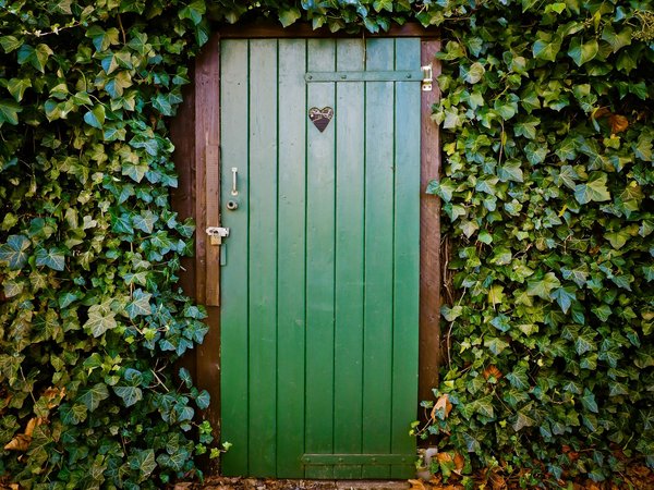 Guide d'achat pour portillons : matériaux, styles et options pratiques
